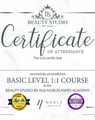 Basic-Level-1-1-Course-Standard-print-pdf.jpg